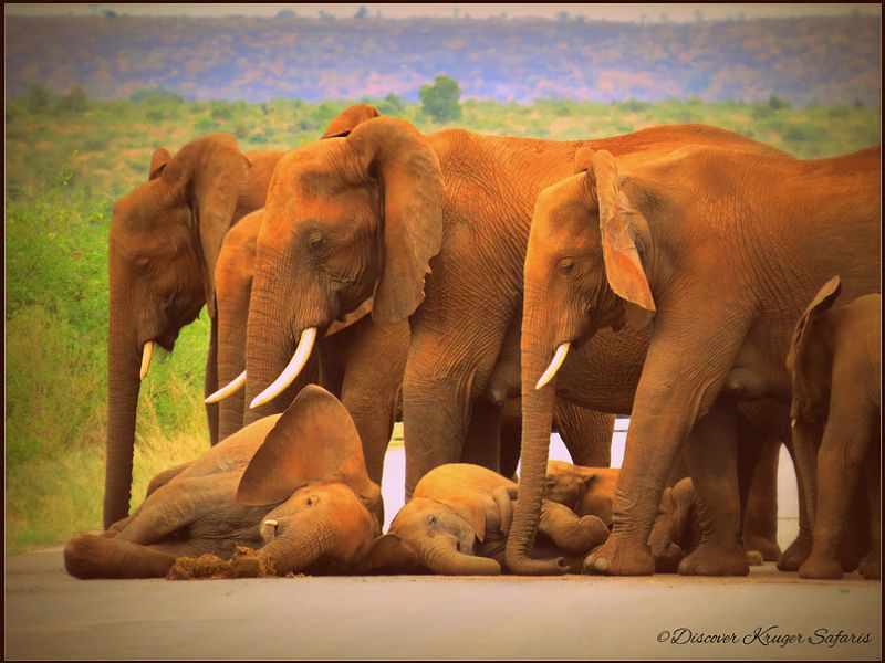 6153b3-4503fb3c5aff46979162f62f615617daA1A074F1-D05B-4D48-99DE-2B071A4DCD47.jpg